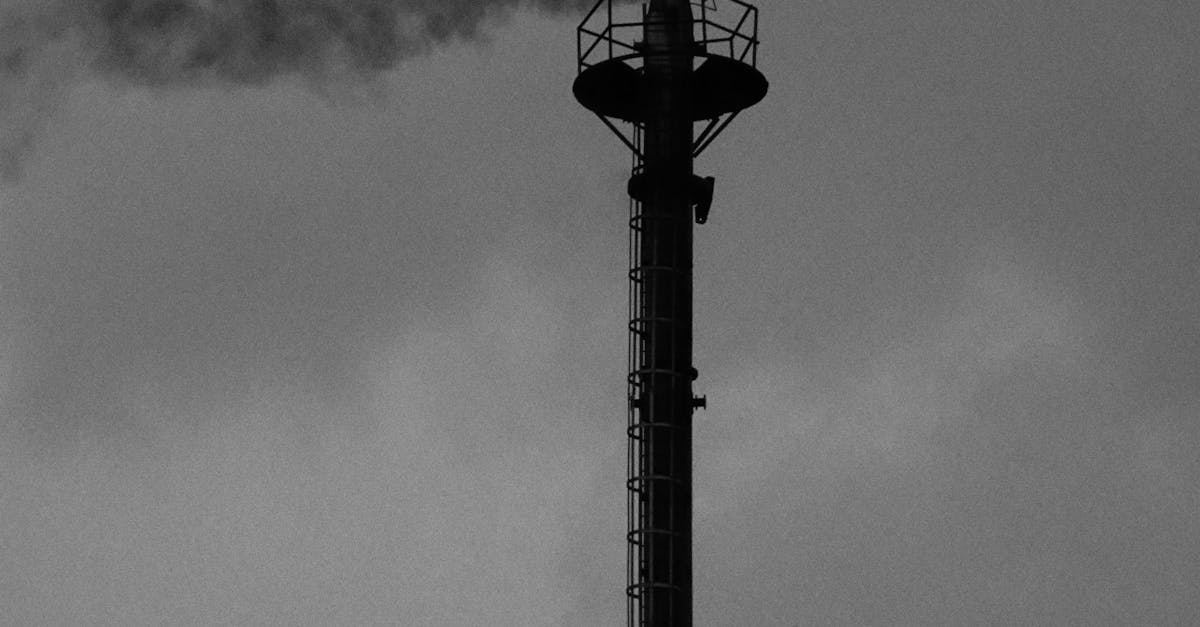 Review of the Best Software for Designing Walk-In Wardrobes